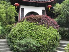 -十八棵（老龙井）御茶园(老龙井店)
