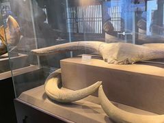 -丁村民俗博物馆