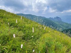 -灵山