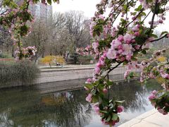 -元大都城垣遗址公园