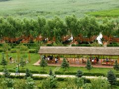 -白渔泡湿地公园