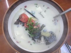 -全乐鱼馆·淳牌有机鱼直营店
