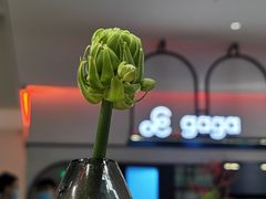 -gaga(深圳南山益田假日广场店)
