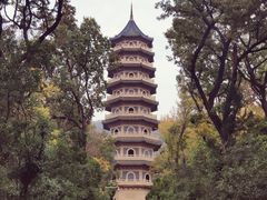 -灵谷景区