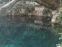 -蝴蝶泉公园
