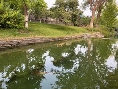 -三里河公园