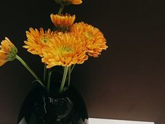 -西湖春天(中州店)