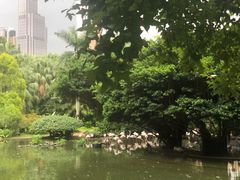 -九龙公园