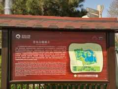 -大兴滨河森林公园