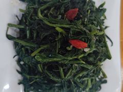 清香枸杞苗-国强手抓(北京西路店)