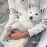 自从搬到古城工作室，终于回到人间生活