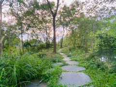 -木守西溪溪隐餐厅