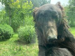 -北京野生动物园