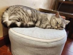 -万达广场(东莞厚街店)