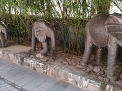 -呀路古热带植物园