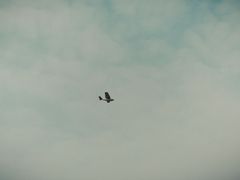 -湖州太湖旅游度假区-月亮广场