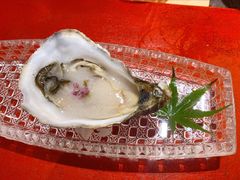 生蚝-鮨青(恒基名人购物中心店)