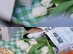 -渭河城市绿地运动公园