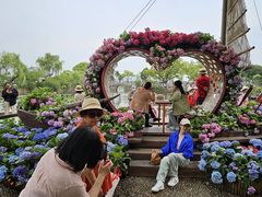 -无锡蠡湖国家湿地公园-蠡园