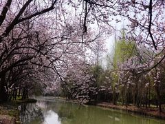 -同里国家湿地公园