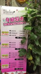 -钉格