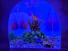 -秦皇岛新澳海底世界