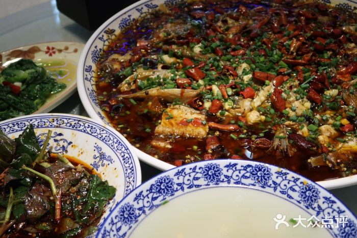 新概念来凤鱼来凤鱼图片