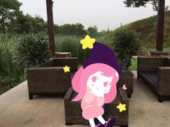 -大塘金香草谷