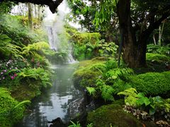 -Chom Cafe and Restaurant