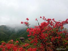 -大围山国家森林公园