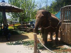 -大连森林动物园