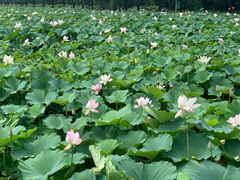 -南戴河国际娱乐中心