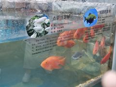 -上海昆虫博物馆