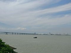 -大湾区中央湿地公园