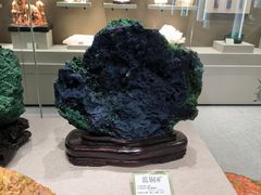 -北京中医药大学-中医药博物馆