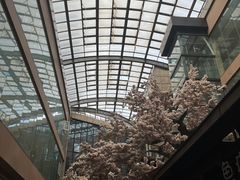 -嘉悦汗蒸时代(曙光路店)