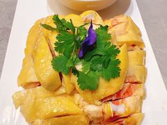 -老绍兴养和饭店(向阳不夜城店)