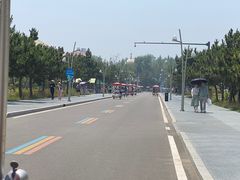 -日照海滨国家森林公园