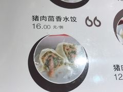 猪肉茴香饺子-老长春饺子馆(保利·春天里店)