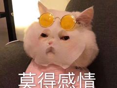 -肯德基(昆山千灯店)