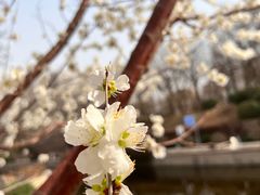 -元大都城垣遗址公园