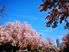 -天津五大道文化旅游区