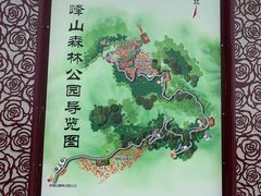 -阳台山自然风景区