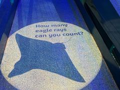 -悉尼海洋生物水族馆