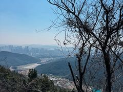 -惠山国家森林公园