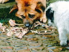 -丝绸小镇荻港古村