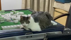 -AIST爱思特医疗美容医院