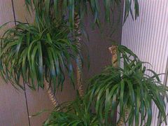 -澜悦汇推拿足道(蓝村路店)