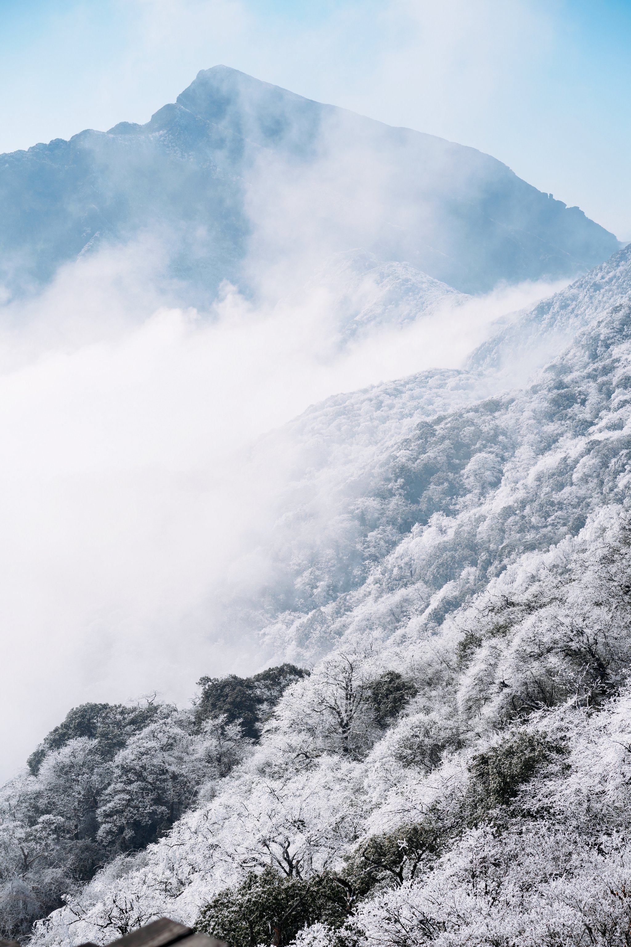 2020年梵净山雪景图片