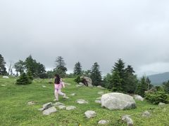 -老秃顶草原景区